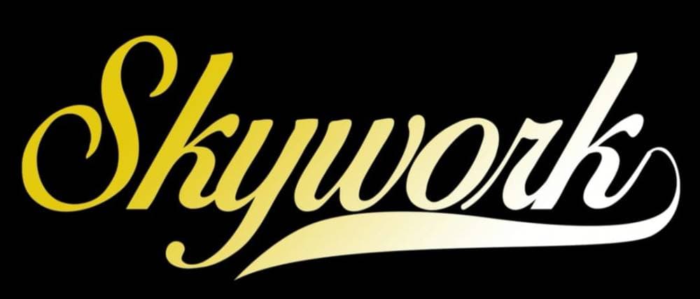 SKYWORK B